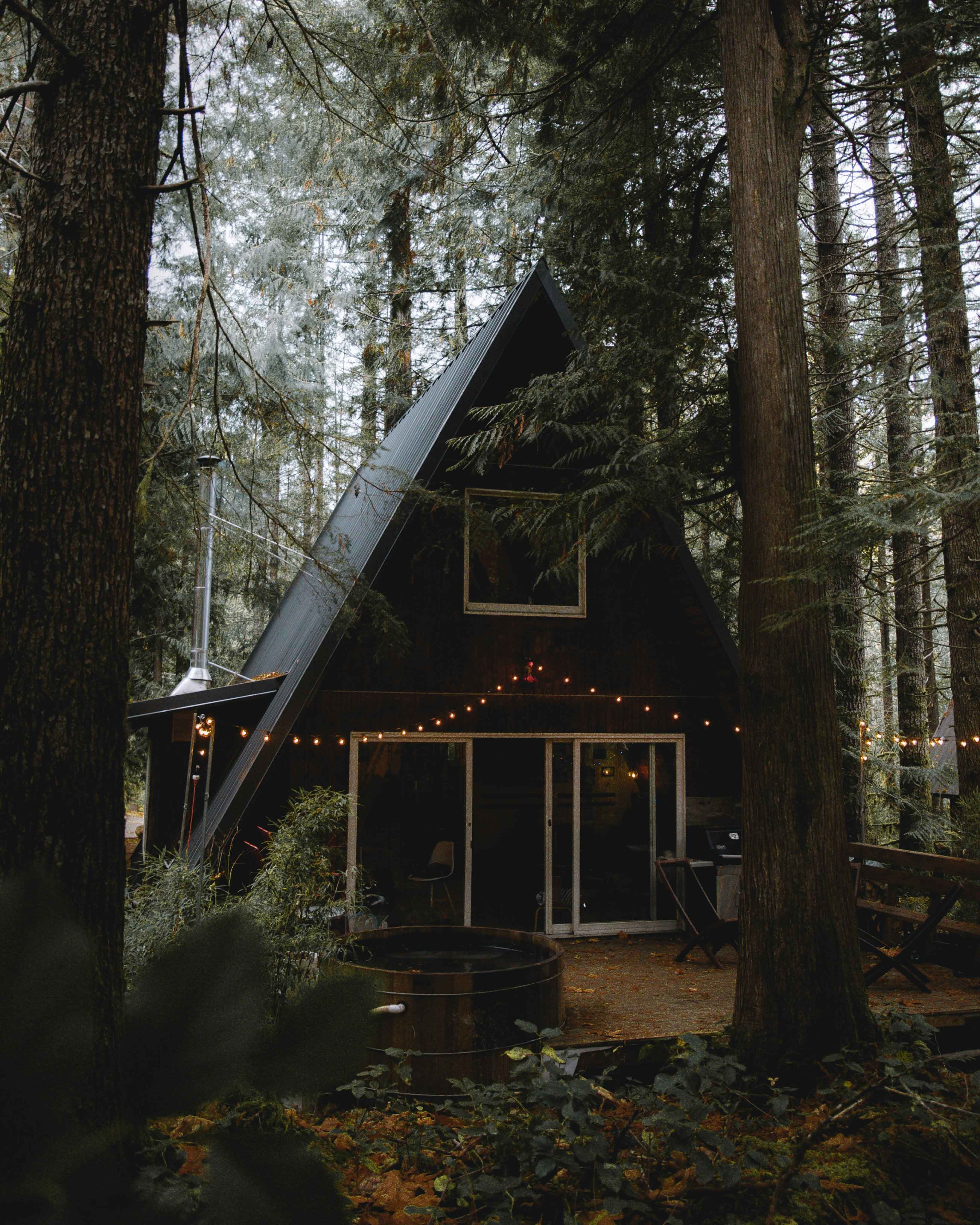 Forest Hideaway